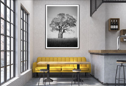 Big Old Tree on Grass Field B&W Photograph Home Decor Premium Quality Poster Print Choose Your Sizes