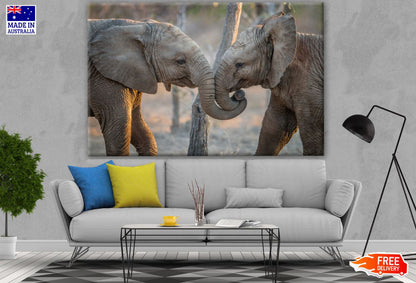 Baby Elephants Playing Photograph Print 100% Australian Made