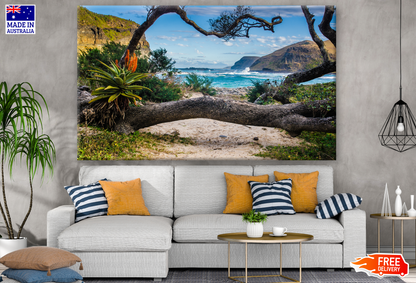 Tropical Plants and Trees on Coffee Bay, Eastern Cape, South Africa Photograph Print 100% Australian Made