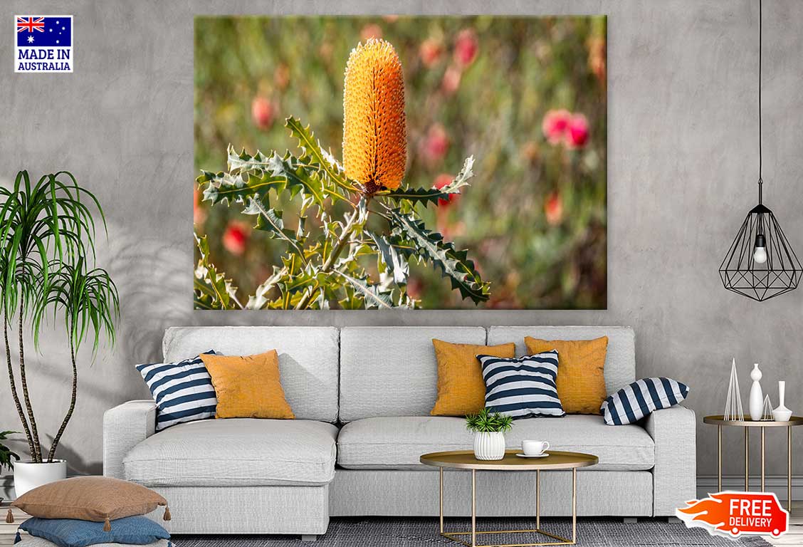 Yellow Banksia Flower Photograph Print 100% Australian Made