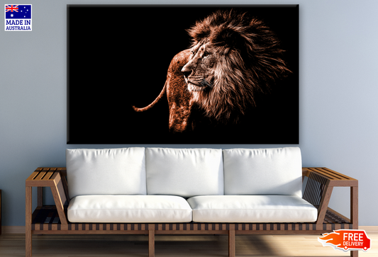 Stunning Lion Closeup Photograph Print 100% Australian Made