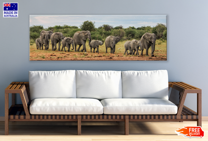 Panoramic Canvas Elephant Herd Walking in Forest High Quality 100% Australian made wall Canvas Print ready to hang