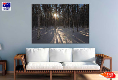 Sunflare Through Winter Forest Trees View Photograph Print 100% Australian Made