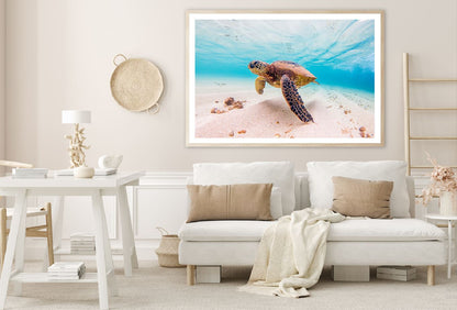 Hawaiian Green Sea Turtle View Photograph Home Decor Premium Quality Poster Print Choose Your Sizes