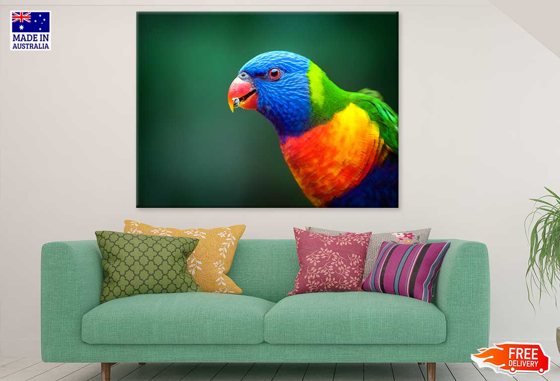 Blue Orange & Green Parrot View Photograph Print 100% Australian Made