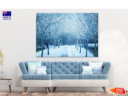 Snow Covered Trees Pathway View Photograph Print 100% Australian Made