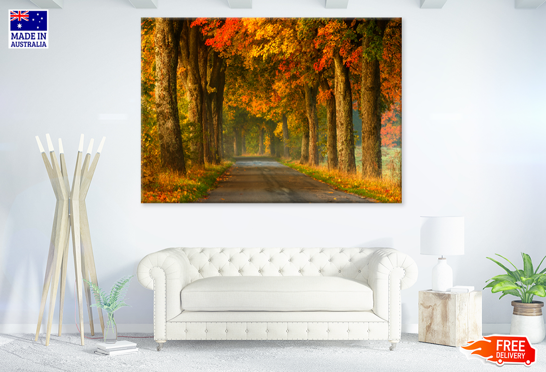 Autumn Trees & Walking Path Photograph Print 100% Australian Made