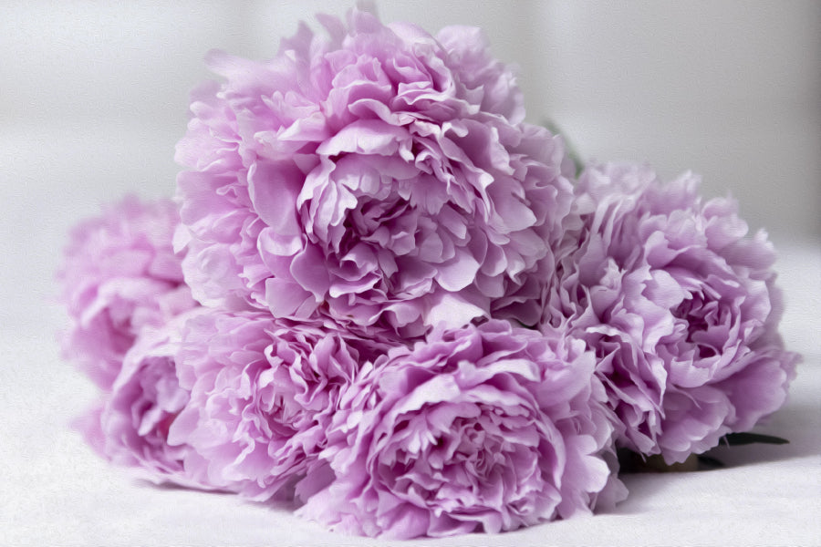 Pink Peonies Closeup View Photograph Print 100% Australian Made