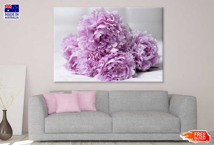 Pink Peonies Closeup View Photograph Print 100% Australian Made