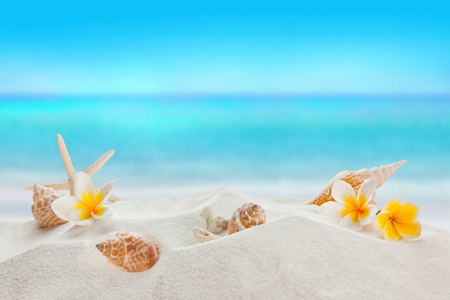 Conch Shell & Flower on Sea View Photograph Print 100% Australian Made