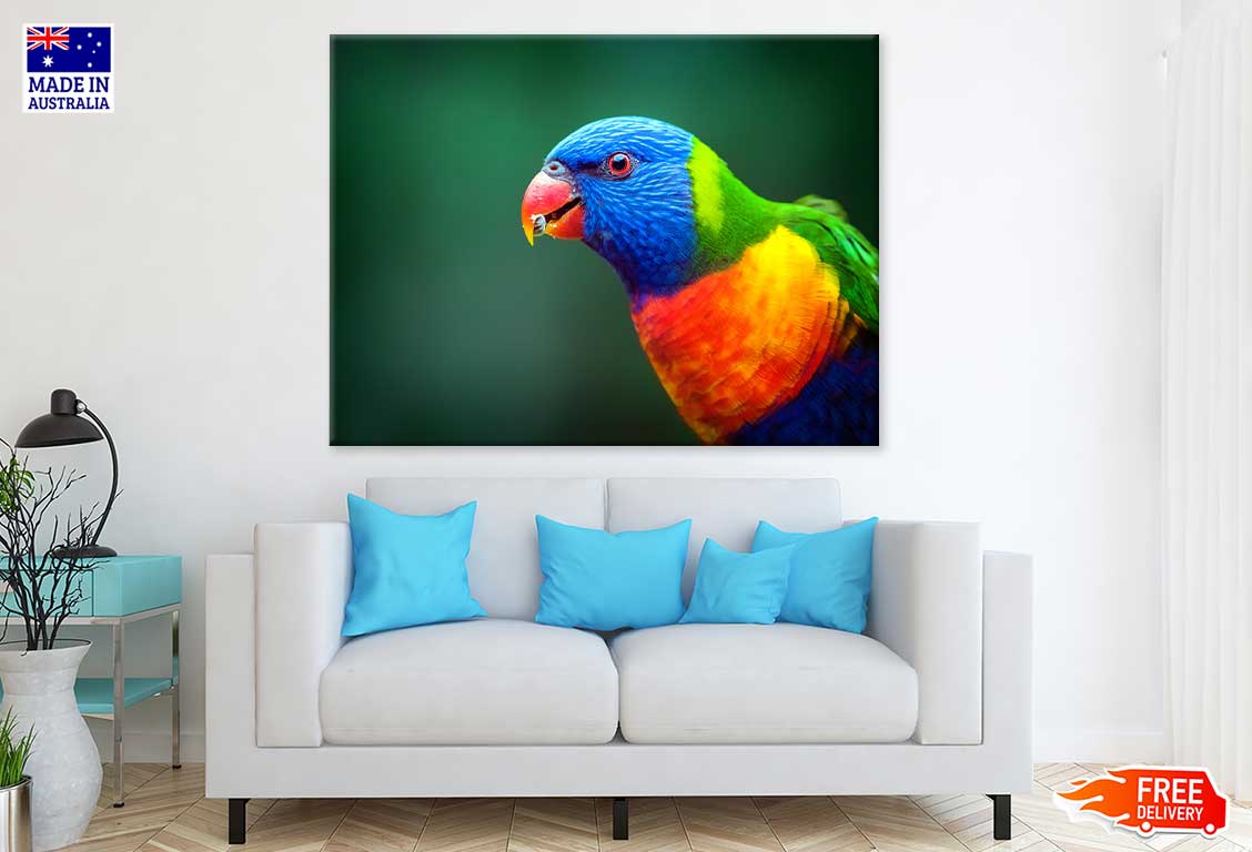 Blue Orange & Green Parrot View Photograph Print 100% Australian Made