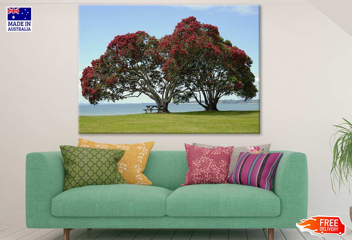 Huge Tree & Bench Near Sea Photograph Print 100% Australian Made