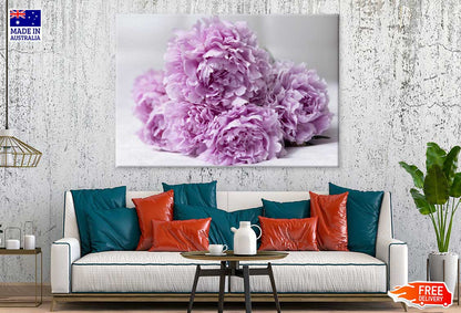 Pink Peonies Closeup View Photograph Print 100% Australian Made