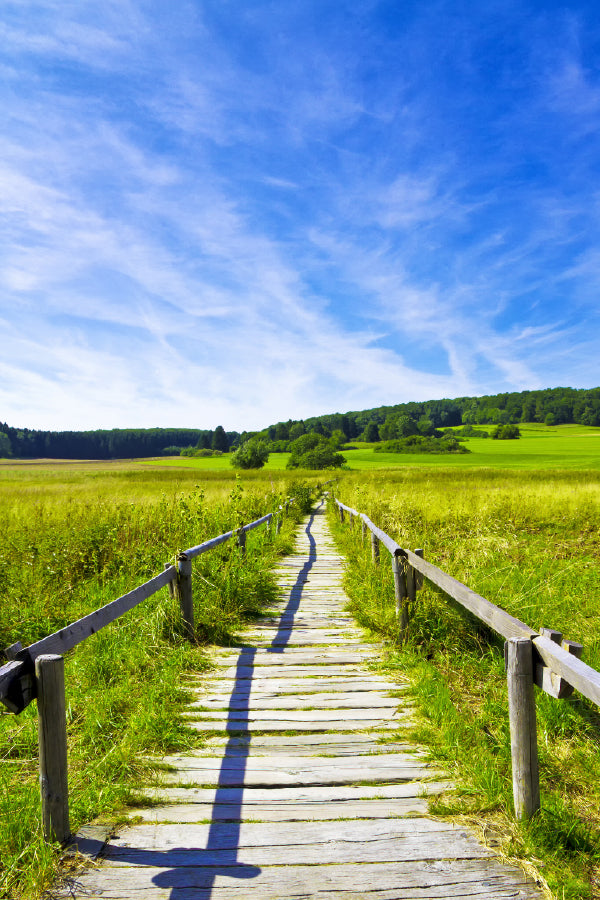 Wooden Path in Grass Field View Photograph Home Decor Premium Quality Poster Print Choose Your Sizes