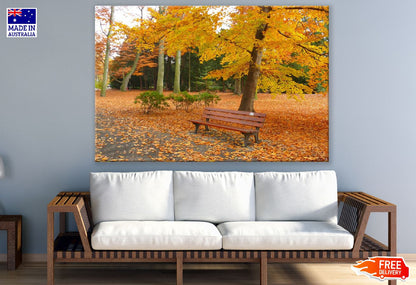 Autumn Garden View Photograph Print 100% Australian Made