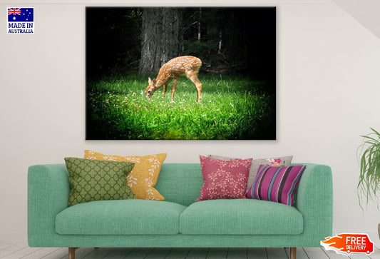 Deer in Flower Field Closeup Photograph Print 100% Australian Made