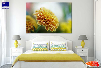 Yellow Dahlia Closeup Side View Photograph Print 100% Australian Made