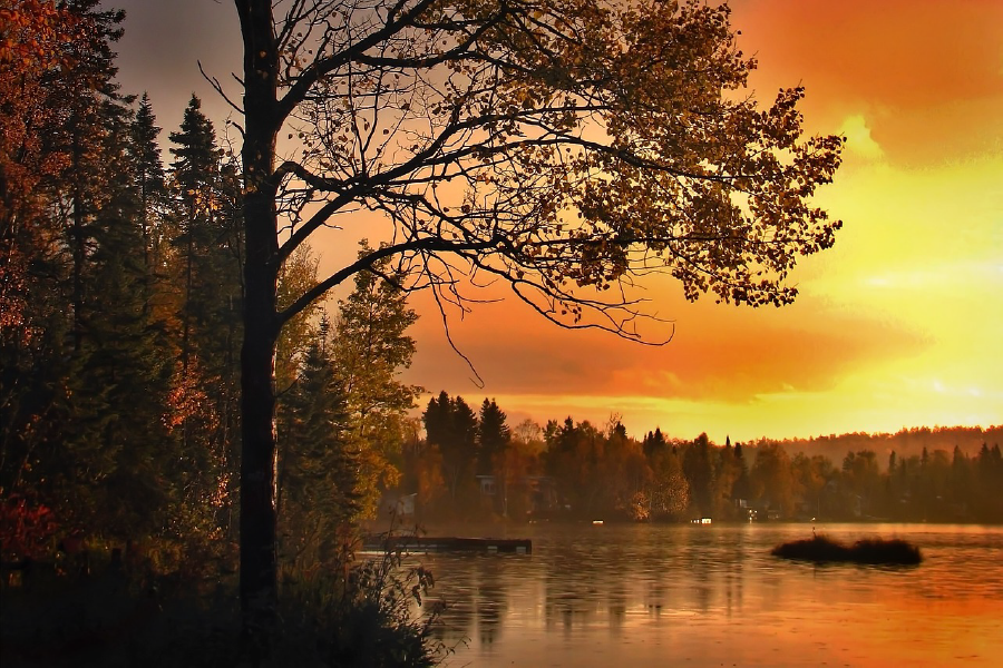 Tree Near Lake Sunset Photograph Print 100% Australian Made