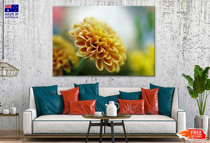 Yellow Dahlia Closeup Side View Photograph Print 100% Australian Made