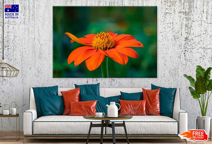 Red Sunflower Closeup Photograph Print 100% Australian Made