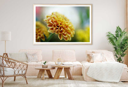 Dandelion Closeup View Photograph Home Decor Premium Quality Poster Print Choose Your Sizes