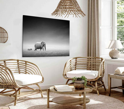 Bella Home B&W Elephant & Zebra Walking Together Print Canvas Ready to hang