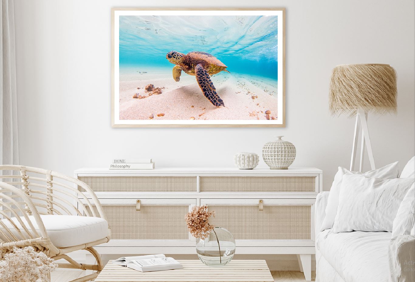 Hawaiian Green Sea Turtle View Photograph Home Decor Premium Quality Poster Print Choose Your Sizes