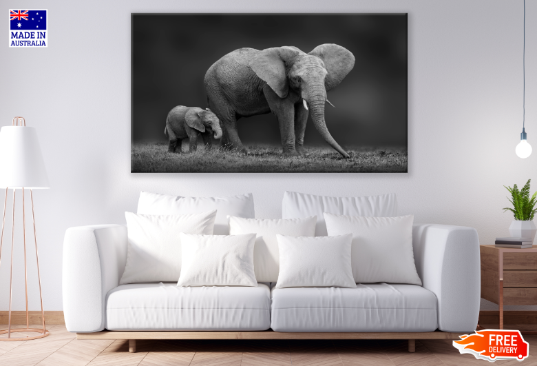 Elephant Herd B&W Photograph Print 100% Australian Made