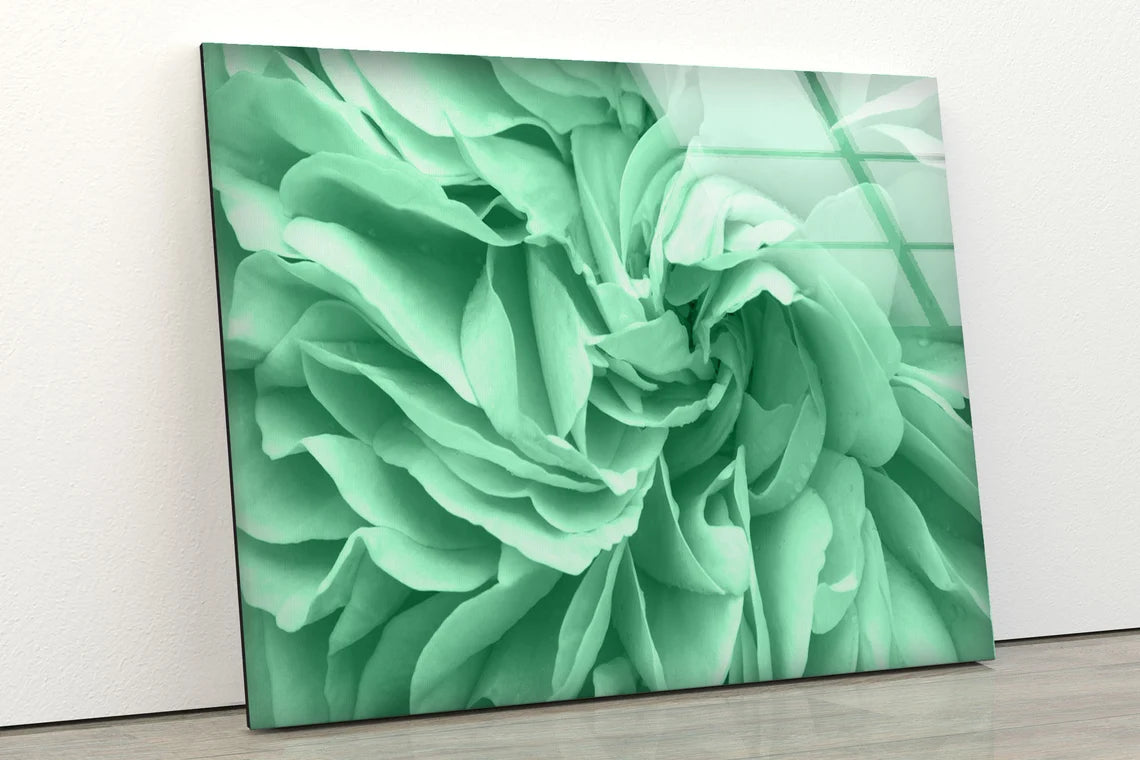 Green Flower Closeup Photograph Acrylic Glass Print Tempered Glass Wall Art 100% Made in Australia Ready to Hang