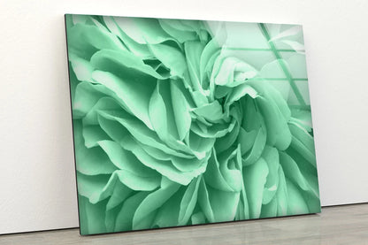 Green Flower Closeup Photograph Acrylic Glass Print Tempered Glass Wall Art 100% Made in Australia Ready to Hang