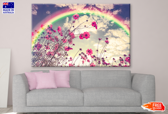 Beautiful Cosmos Flowers in Garden Rainbow Photograph Print 100% Australian Made