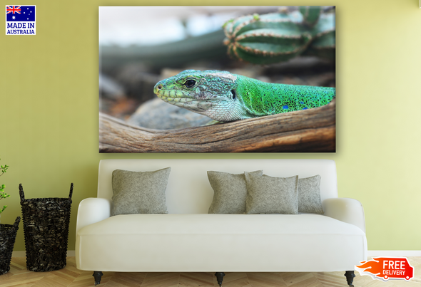 Lizard Portrait Photograph Print 100% Australian Made