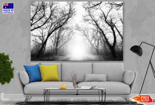 Misty Forest B&W Photograph Print 100% Australian Made