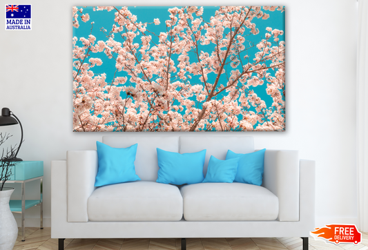 Beautiful Cherry Blossom Sakura Tree Floral Photograph Print 100% Australian Made