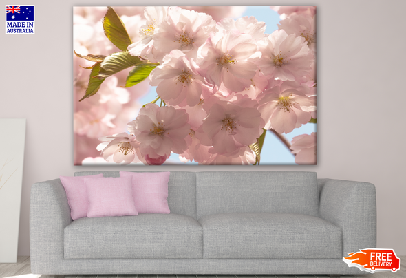 Pink Sakura Flowers on Tree Photograph Print 100% Australian Made