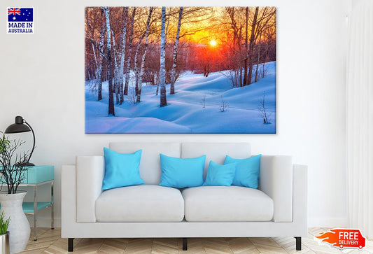 Tree on Snow Covered Ground Photograph Print 100% Australian Made