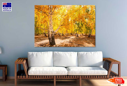 Yellow Autumn Trees Forest Scenery Photograph Print 100% Australian Made