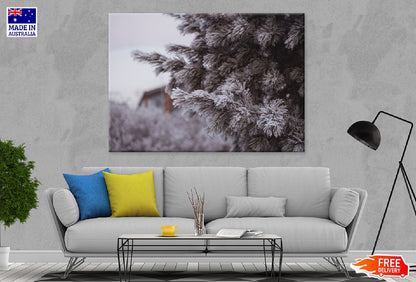 Snow Covered Fir Tree Photograph Print 100% Australian Made