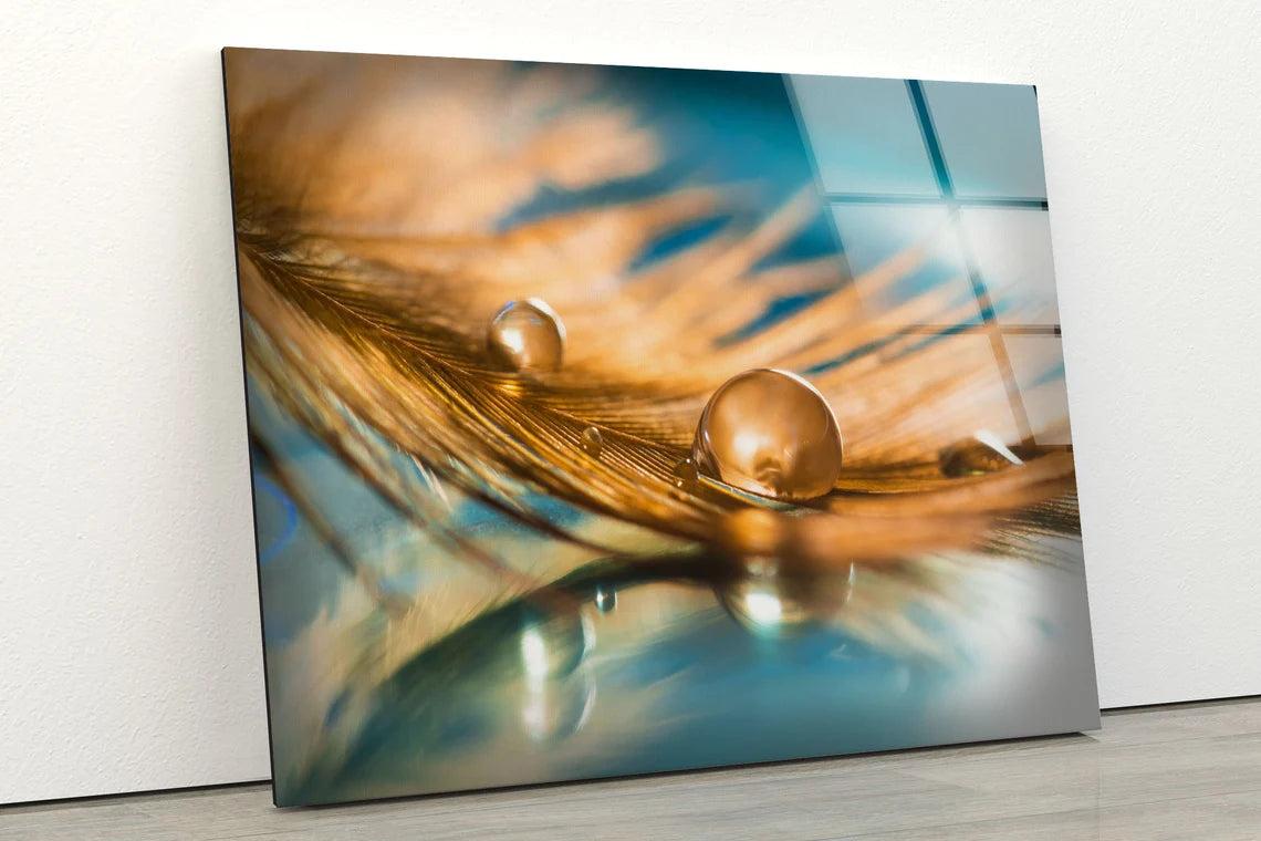 Waterdrop on Feather Photograph Acrylic Glass Print Tempered Glass Wall Art 100% Made in Australia Ready to Hang