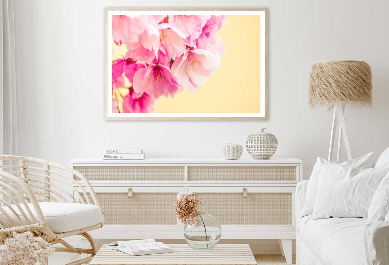 Pink Cherry Blossoms in Spring Photograph Home Decor Premium Quality Poster Print Choose Your Sizes