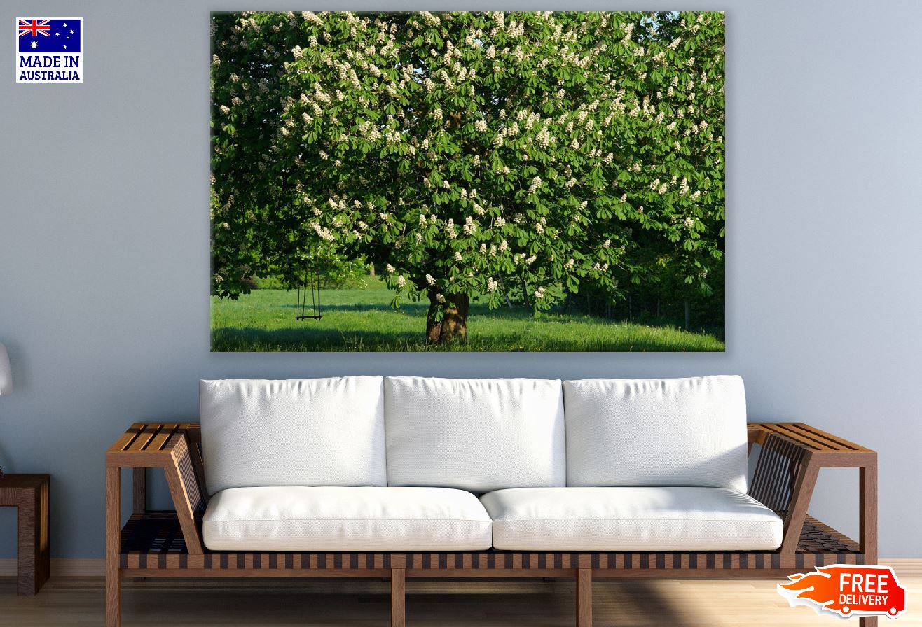 Chestnut Tree View Photograph Print 100% Australian Made