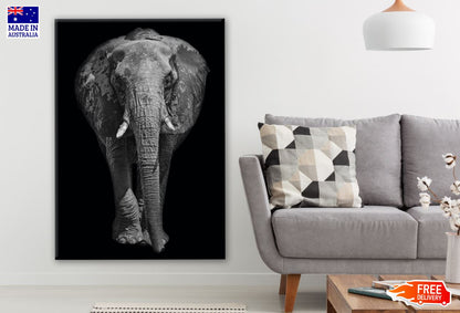 B&W Elephant Portrait Photograph Print 100% Australian Made