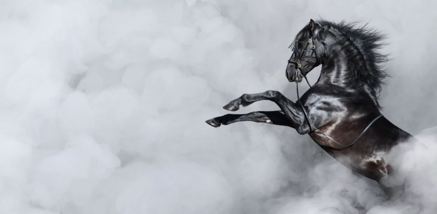 Horse Galloping in Smoke Closeup Home Decor Premium Quality Poster Print Choose Your Sizes