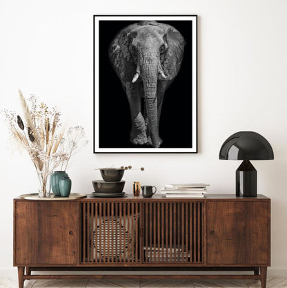 Elephant Portrait B&W Photograph Home Decor Premium Quality Poster Print Choose Your Sizes