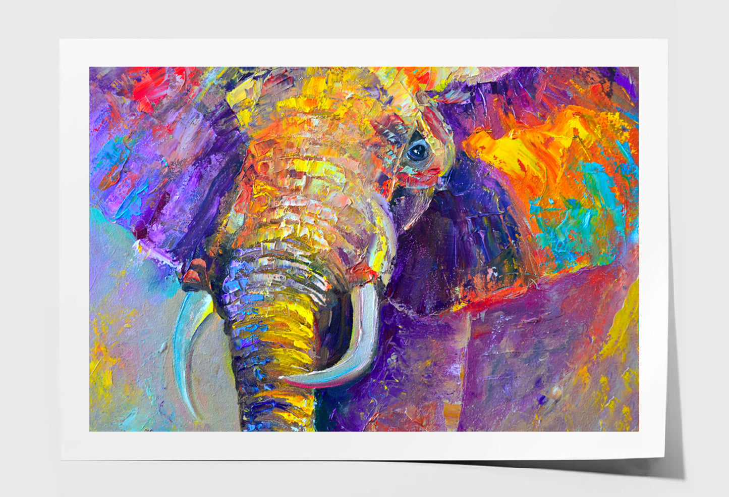 Multicolored Elephant Abstract Oil Painting Wall Art Limited Edition High Quality Print Unframed Roll Canvas None