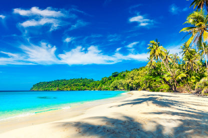 Palm Trees near Sandy Beach View Photograph Print 100% Australian Made