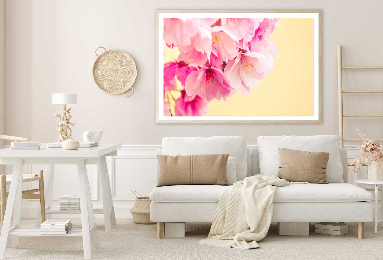 Pink Cherry Blossoms in Spring Photograph Home Decor Premium Quality Poster Print Choose Your Sizes