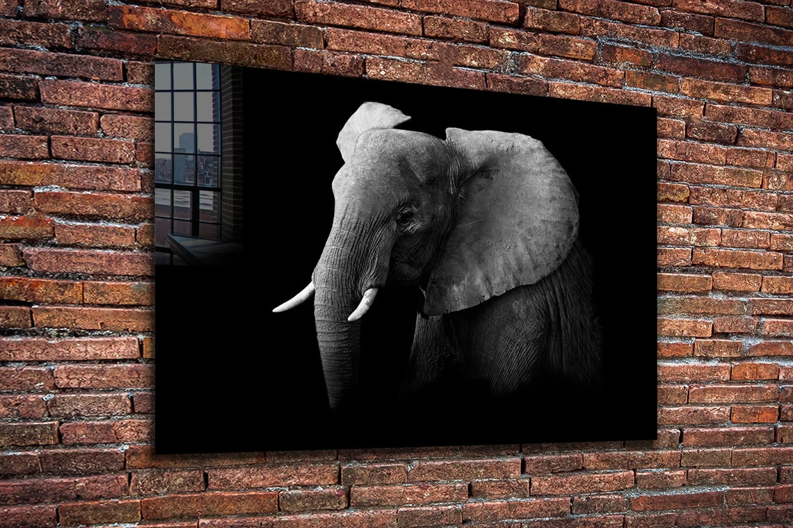 Elephant on Dark B&W Print Tempered Glass Wall Art 100% Made in Australia Ready to Hang