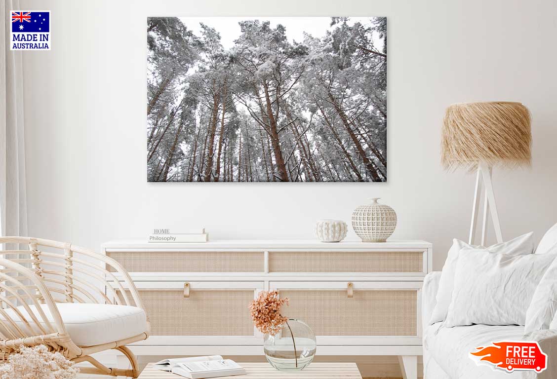 Snow Covered Trees View From Below Photograph Print 100% Australian Made