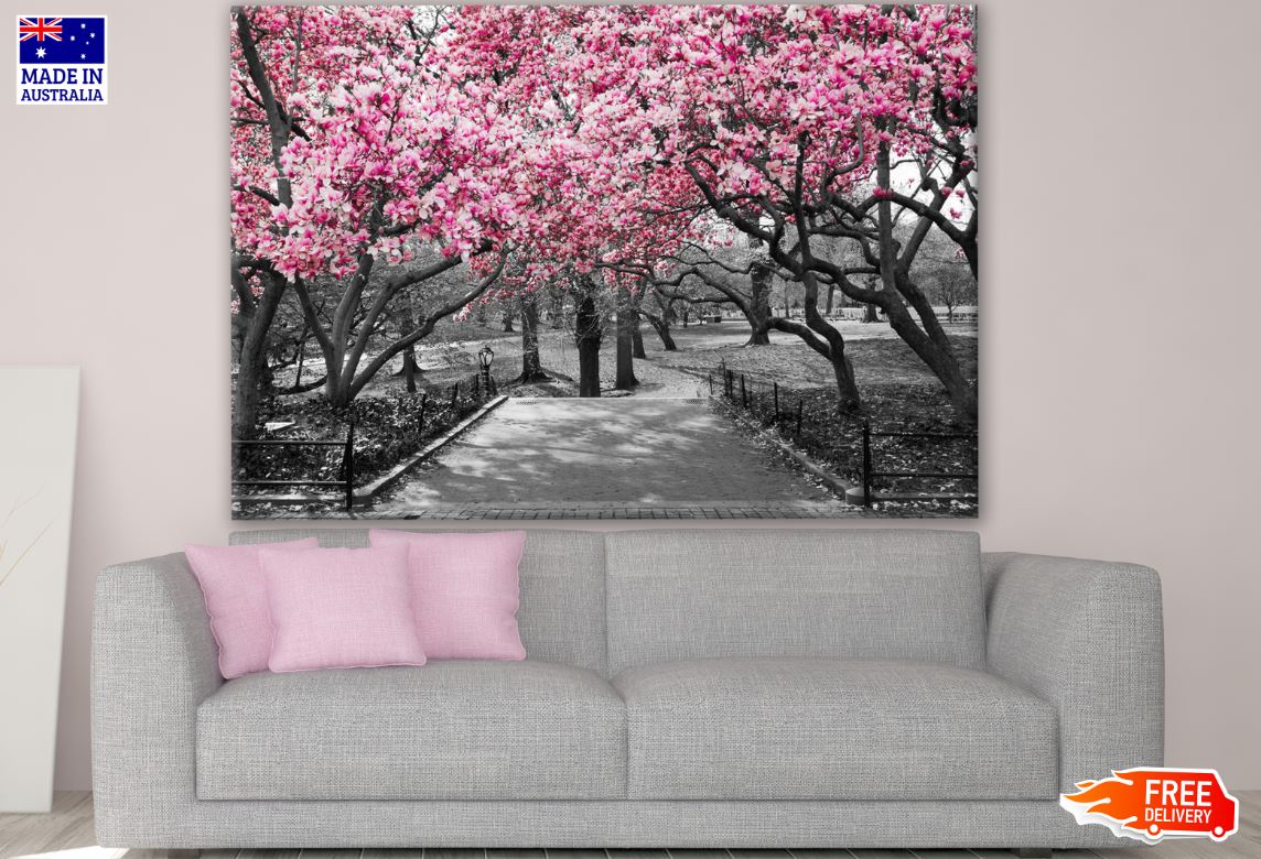 Pink Flower Tree Park B&W Photograph Print 100% Australian Made